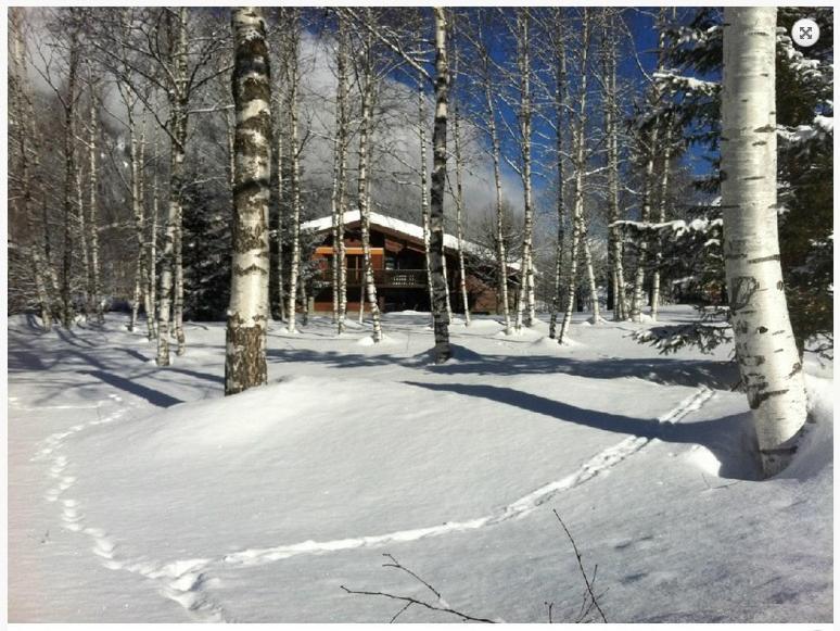 שאמוני Chalet Champraz - Free Parking מראה חיצוני תמונה