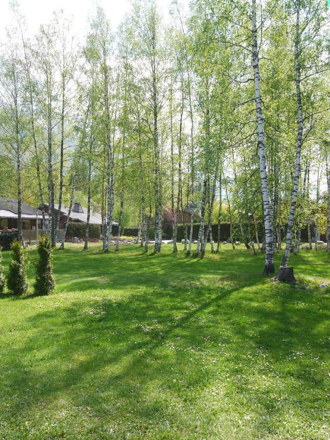 שאמוני Chalet Champraz - Free Parking מראה חיצוני תמונה